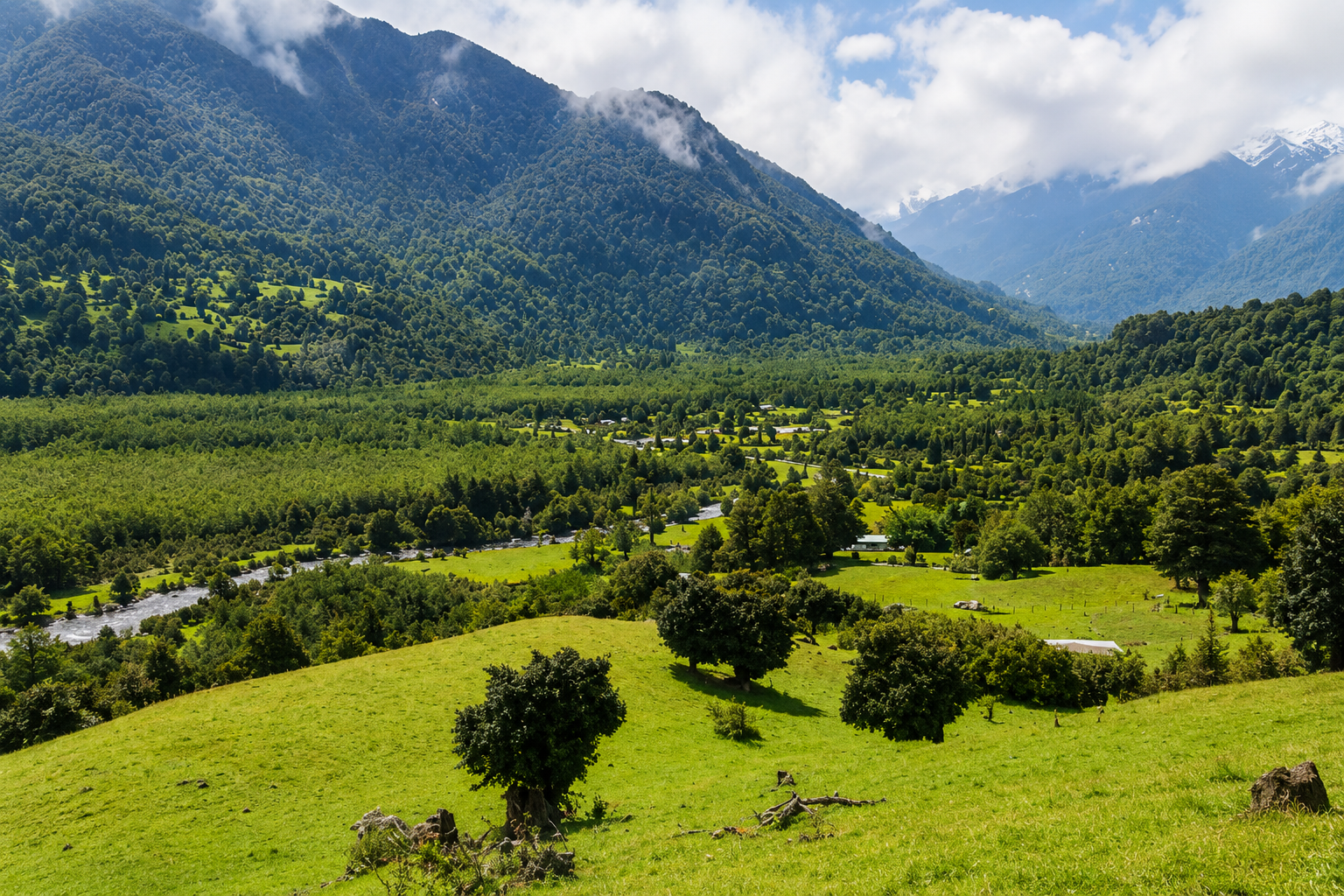 Paisaje del proyecto Mirador de Quetro
