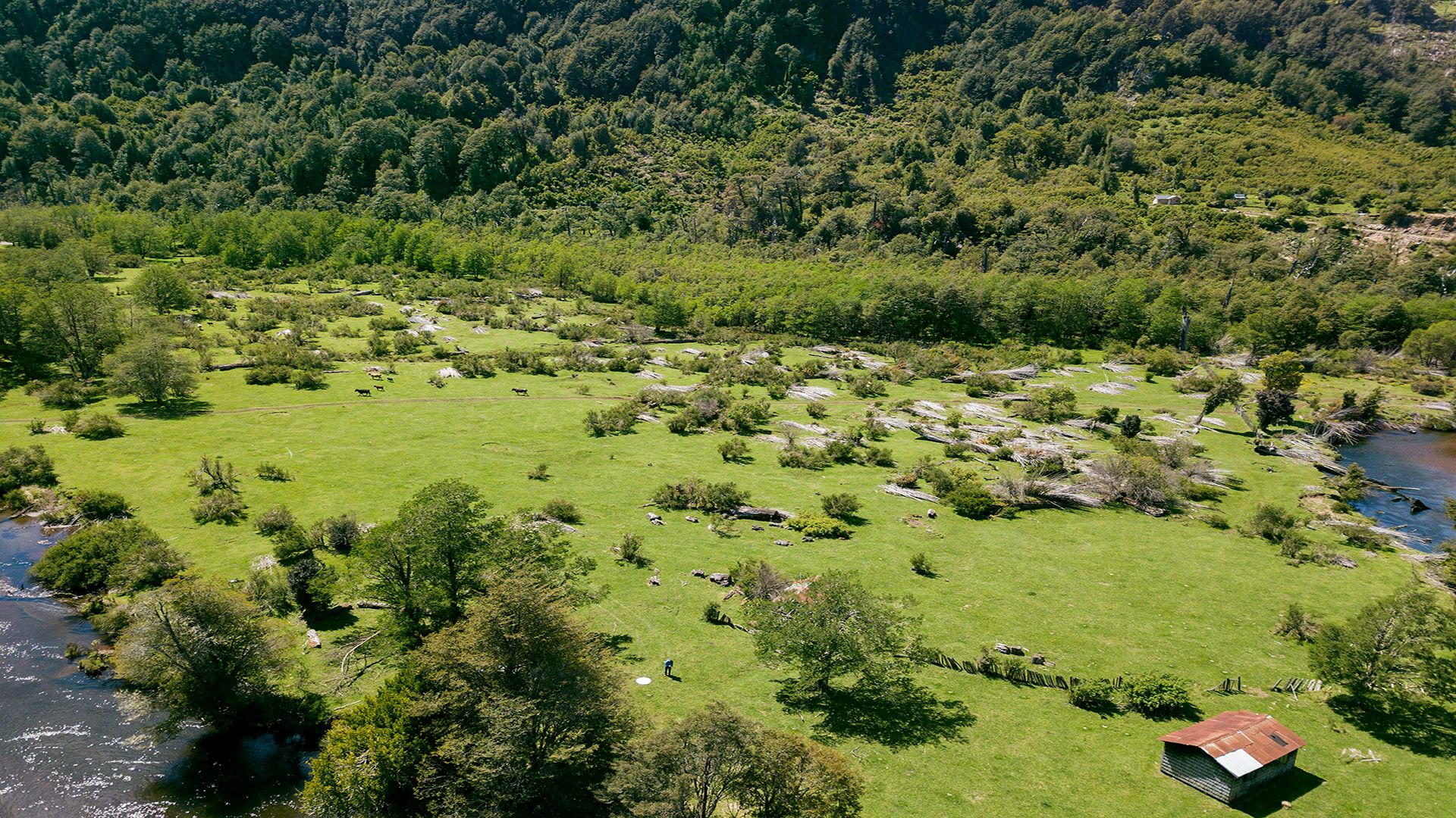 Paisaje del proyecto Río Quetro